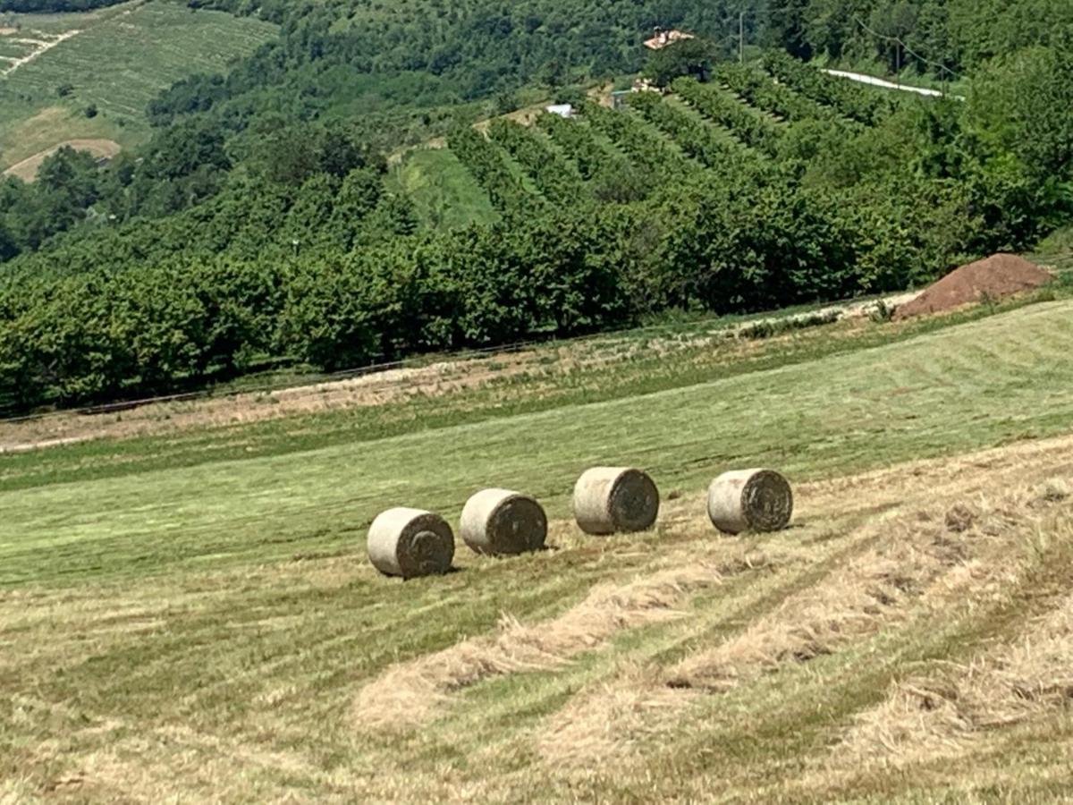 La Luce Delle Colline Bed & Breakfast Serravalle delle Langhe ภายนอก รูปภาพ