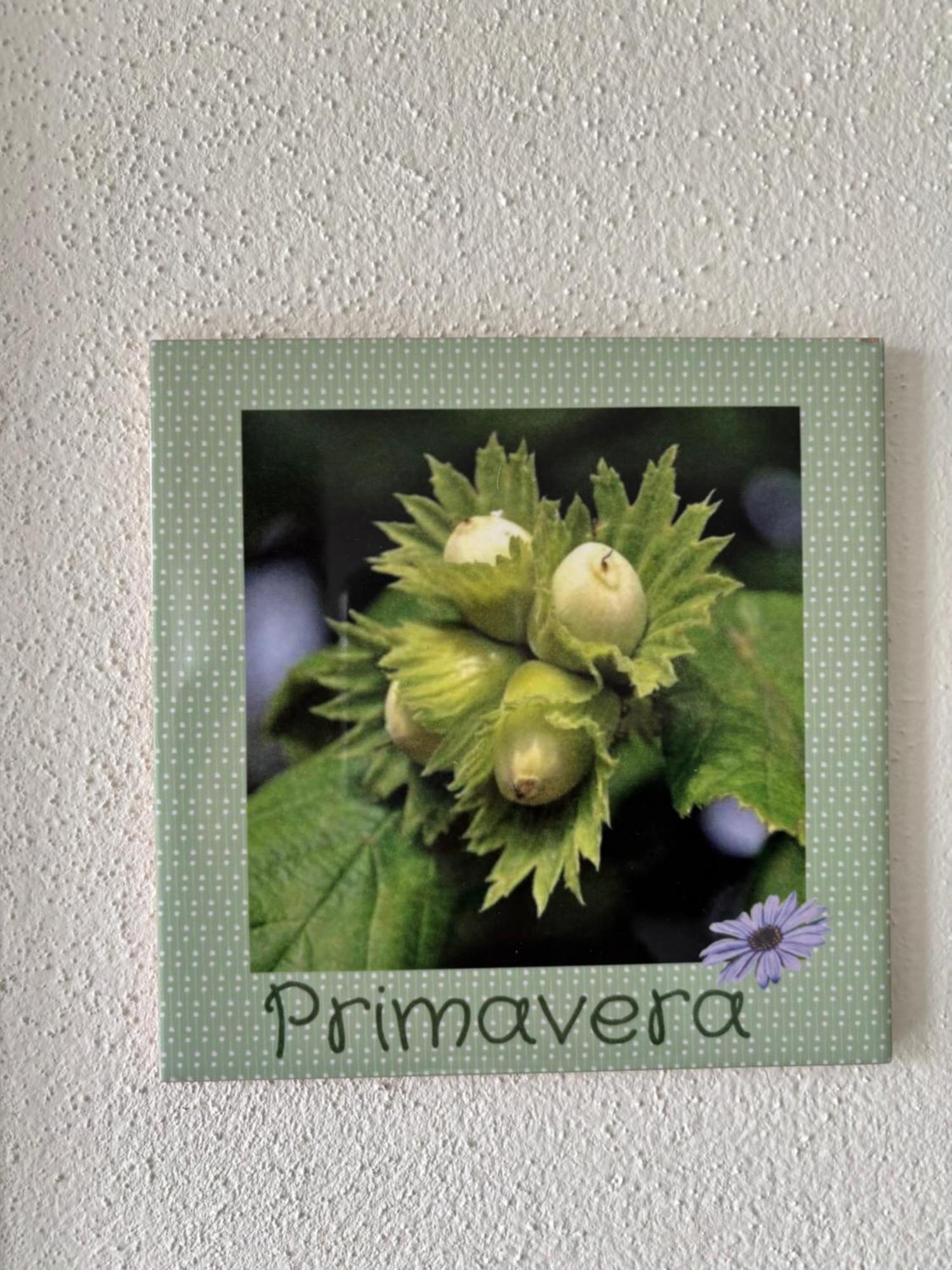La Luce Delle Colline Bed & Breakfast Serravalle delle Langhe ภายนอก รูปภาพ